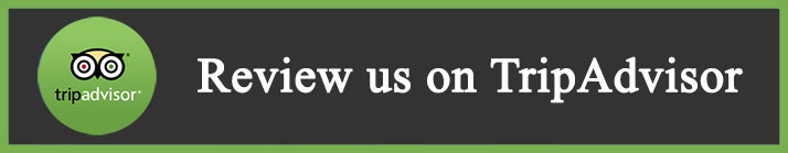 Review us on TripAdvisor